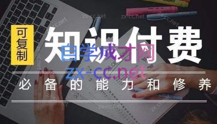 君哥·IP合伙人知识付费虚拟项目(更新24年6月)-七七项目网