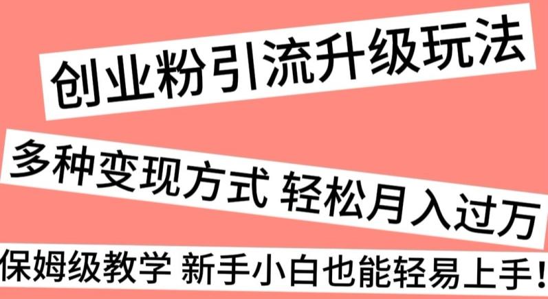 创业粉引流升级玩法，多种变现方式轻松月入过万，保姆级教学新手小白也能轻易上手！-七七项目网