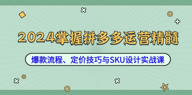 2024掌握拼多多运营精髓：爆款流程、定价技巧与SKU设计实战课-七七项目网