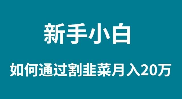 (9308期)新手小白如何通过割韭菜月入 20W-七七项目网