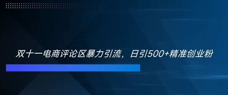 双十一电商评论区暴力引流，日引500+精准创业粉【揭秘】-七七项目网