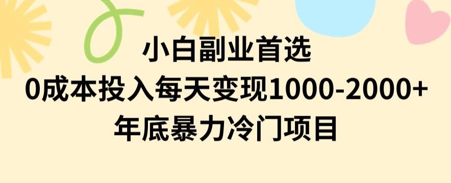 小白副业首选，0成本投入，每天变现1000-2000年底暴力冷门项目【揭秘】-七七项目网