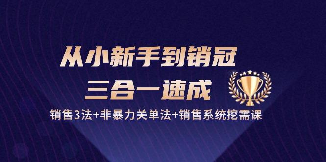 从小新手到销冠 三合一速成：销售3法+非暴力关单法+销售系统挖需课 (27节-七七项目网