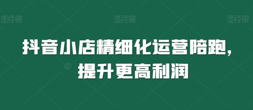 抖音小店精细化运营陪跑，提升更高利润-七七项目网