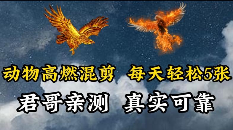 动物超燃混剪，每天轻松5张，剪辑简单大家爱看【揭秘】-七七项目网