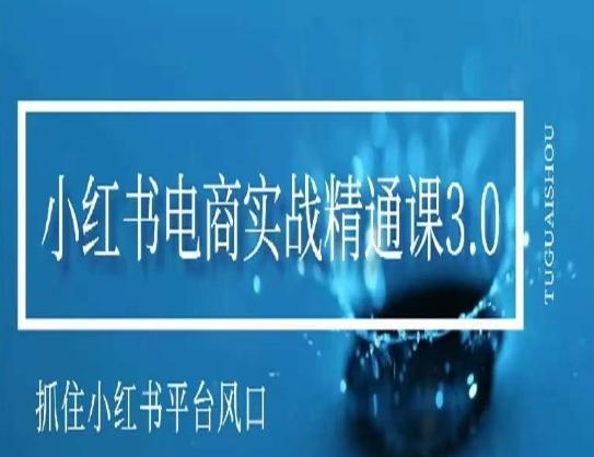小红书电商实战精通课3.0，抓住小红书平台的风口，不错过有一个赚钱的机会-七七项目网