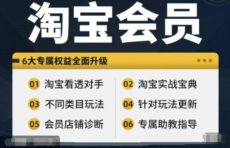 淘宝会员【淘宝所有课程，全面分析对手】，初级到高手全系实战宝典-七七项目网