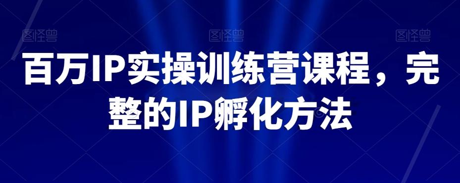 百万IP实操训练营课程，完整的IP孵化方法-七七项目网