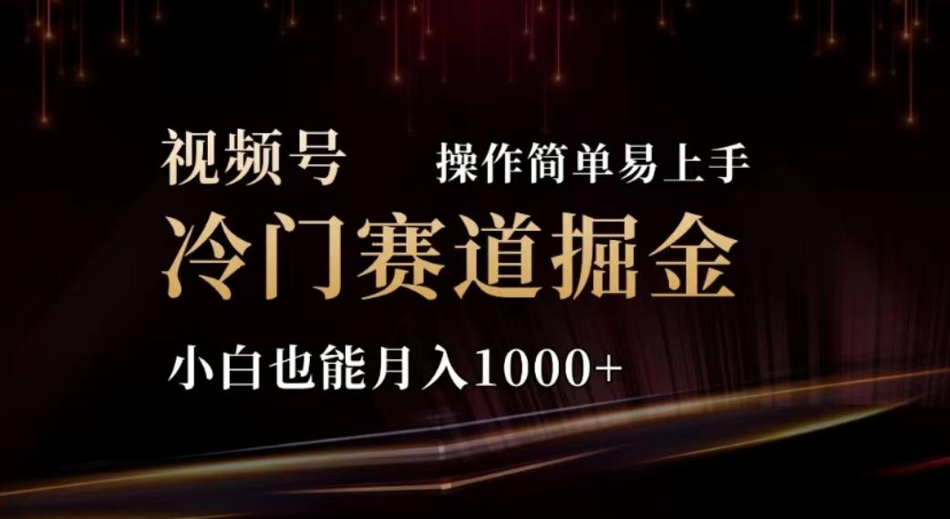 2024视频号冷门赛道掘金，操作简单轻松上手，小白也能月入1000+-七七项目网