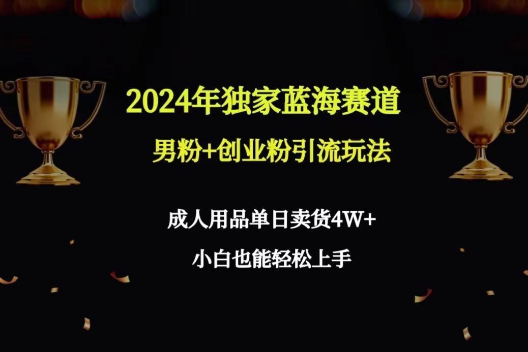 2024年独家蓝海赛道男粉+创业粉引流玩法，成人用品单日卖货4W+保姆教程-七七项目网