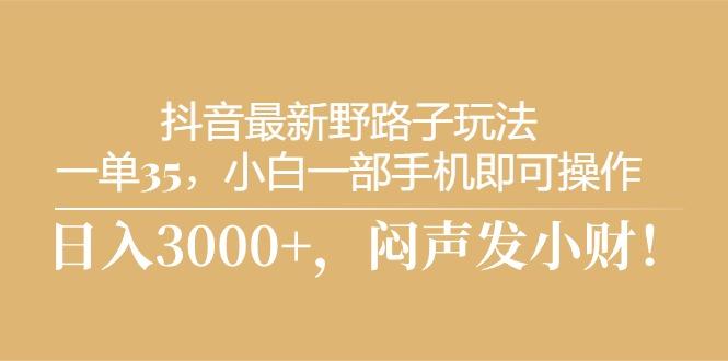 抖音最新野路子玩法，一单35，小白一部手机即可操作，，日入3000+，闷…-七七项目网
