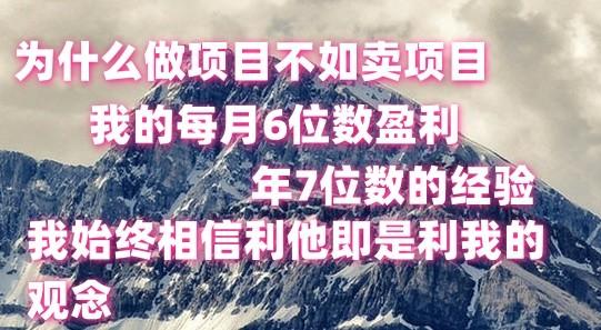 做项目不如卖项目，每月6位数盈利，年7位数经验-七七项目网