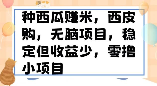 种西瓜赚米，西皮购稳定长久零撸小项目-七七项目网