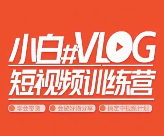 小呆说视–小白VLOG短视频训练营，学会带货、好物、直播、中视频-七七项目网
