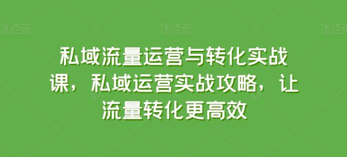 私域流量运营与转化实战课，私域运营实战攻略，让流量转化更高效-七七项目网