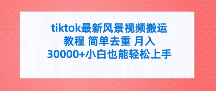 tiktok最新风景视频搬运教程 简单去重 月入3W+小白也能轻松上手【揭秘】-七七项目网