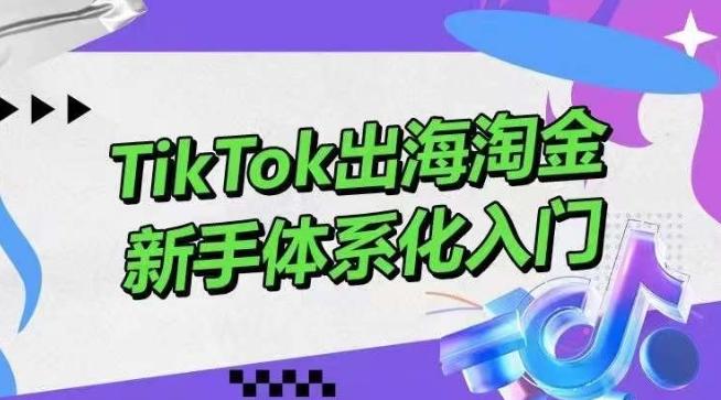 TikTok出海淘金，新手体系化入门，零基础快速入门，掌握短视频、直播带货等引流到变现的知识-七七项目网