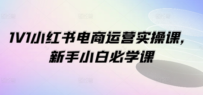 1V1小红书电商运营实操课，新手小白必学课-七七项目网