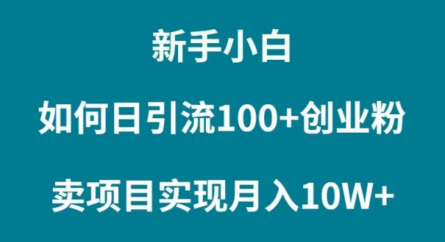 (9556期)新手小白如何通过卖项目实现月入10W+-七七项目网