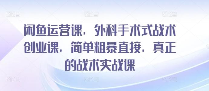 闲鱼运营课，外科手术式战术创业课，简单粗暴直接，真正的战术实战课-七七项目网
