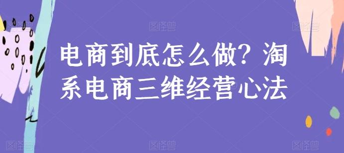 电商到底怎么做？淘系电商三维经营心法-七七项目网
