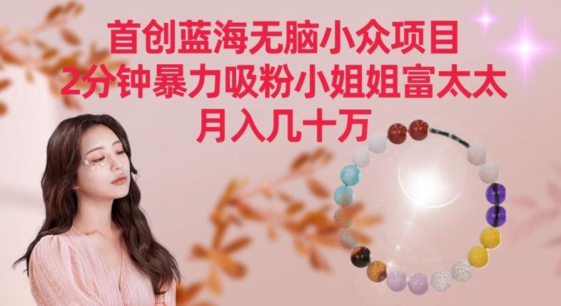 首创蓝海无脑小众项目，2分钟暴力吸粉小姐姐富太太，月入几十万【揭秘】-七七项目网