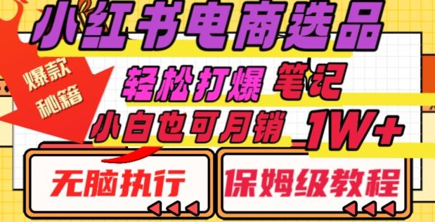 小红书电商爆款选品秘籍，帮你轻松打爆笔记，小白也可轻松月销10000+-七七项目网