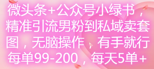 微头条+公众号小绿书，精准引流男粉到私域卖套图，无脑操作，有手就行，每单99-200，每天5单-七七项目网