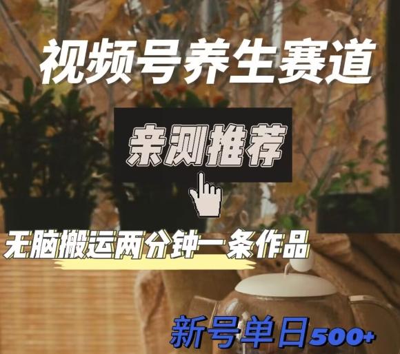 视频号养生赛道暴力掘金，无脑搬运，两分钟一条作品-新日单入500+-七七项目网
