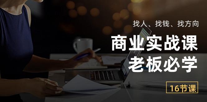 商业实战课【老板必学】：找人、找钱、找方向(16节课-七七项目网