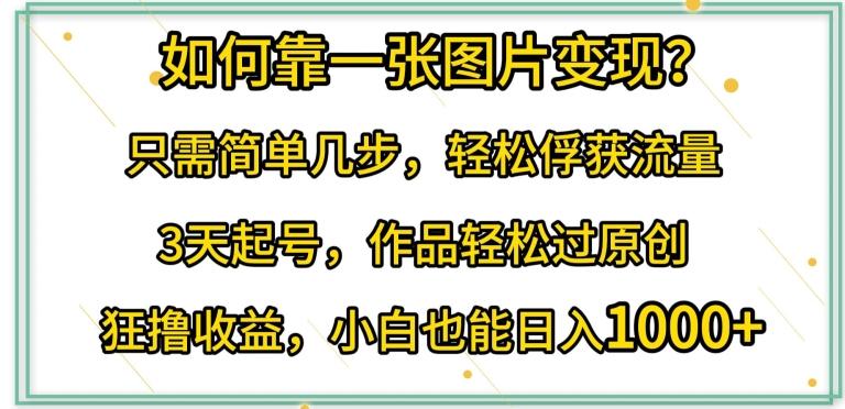 如何靠一张图片变现?只需简单几步，轻松俘获流量，3天起号，作品轻松过原创【揭秘】-七七项目网