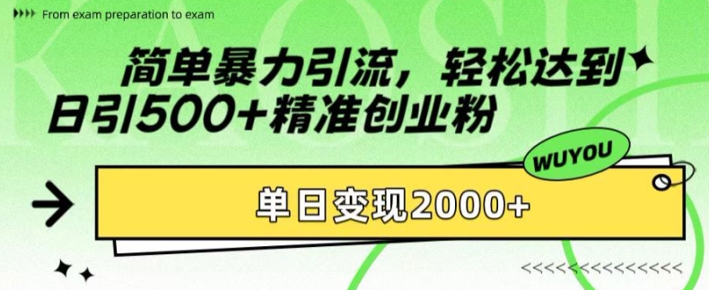 简单暴力引流，轻松达到日引500+精准创业粉，单日变现2k【揭秘】-七七项目网