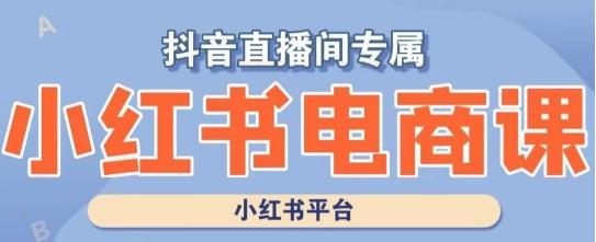 小红书电商高级运营课程，实操教学+案例分析-七七项目网
