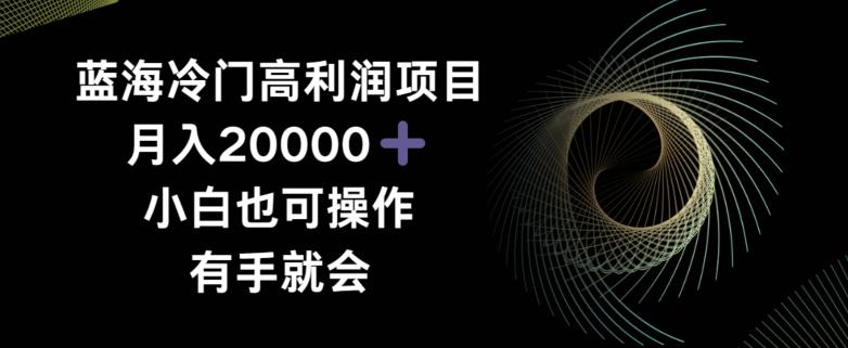 蓝海冷门高利润项目月入2000，小白也可操作有手就会-七七项目网