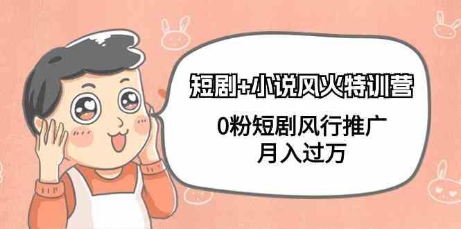 小说+短剧风火特训营，0粉短剧小说风行推广，实现月入过万-七七项目网